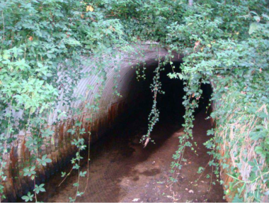 Sicht auf den Kanaleinlass des Unterführungsbauwerks in Betonbauweise mit vegetationsreicher Böschung neben und über dem Kanaleinlass. Die krautige Vegetation verhängt teilweise den Kanaleinlass.